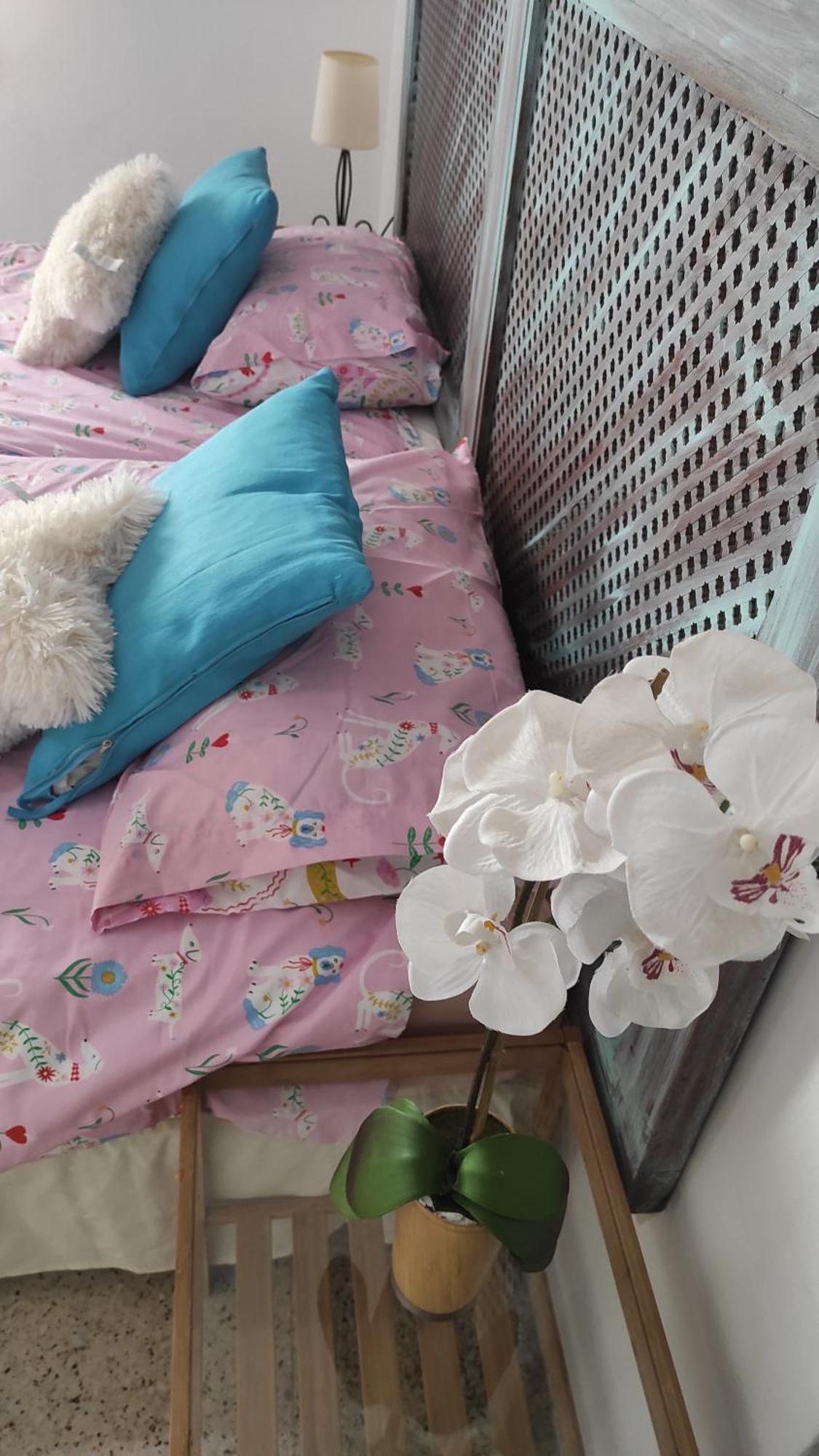 Apartmán Centrico Piso Con Aparcamiento Gratuito Granada Exteriér fotografie